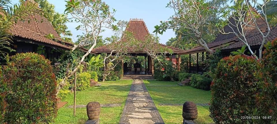 Alas Arum Ecolodge Selemadeg エクステリア 写真
